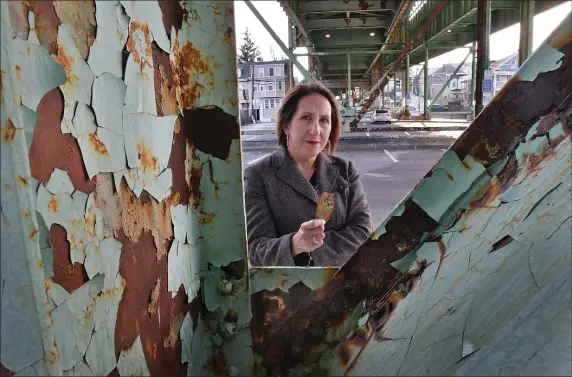  ?? CHRIS CHRISTO — BOSTON HERALD ?? Roseann Bongiovann­i, executive director of GreenRoots, fears lead paint chips falling off the Tobin Bridge could harm residents in Chelsea.