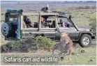  ??  ?? Safaris can aid wildlife