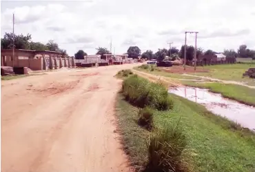  ??  ?? Road leading to Dole -Kaina border town. At the other side of the road is a Niger Republic village also called Dole-Kaina