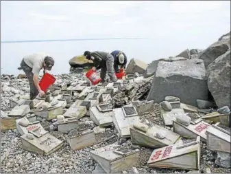  ?? PHOTO COURTESY OF STEWART B. MCKINNEY WILDLIFE REFUGE. ?? Fixing Roseate Tern Boxes: Rick Potvin, Jenny Dickson and Kris Vagos from the Stewart B. McKinney Refuge put gravel in the roseate tern boxes on the north spit of Faulkner’s Island.