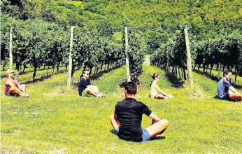  ?? Picture: © Cantina Al Rocol ?? NO WHINING A ’Personal Wine Trainer’ will supervise all classes.