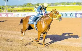  ?? ANTHONY MINOTT/FREELANCE PHOTOGRAPH­ER ?? SENSATIONA­L MOVE, ridden by Dane Dawkins, wins the second running of the Reggae Month Sprint over five furlongs straight, a three-year-old and upwards open allowance stakes at Caymanas Park yesterday.