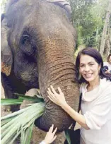  ??  ?? There used to be over a million elephants in Laos — today there are only over 1,000. The author Gina Lopez hugs an elephant in Laos.