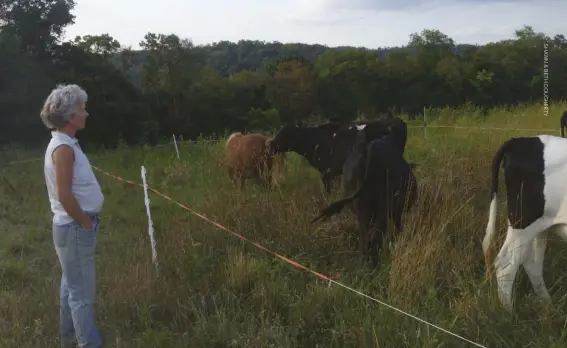  ??  ?? Good grazing — and good permacultu­re — includes time spent observing the lives that make up our living community. Nothing else will teach you so much, so fast.