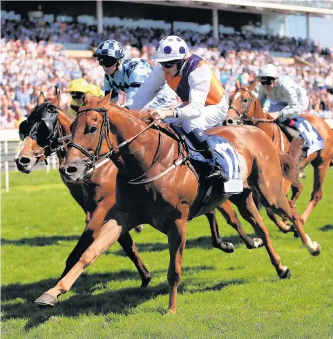  ??  ?? Golden Apollo (near side) ridden by James Sullivan wins The Catherine Kinloch Paver Memorial Macmillan Charity Stakes at York yesterday, giving North Yorkshire trainer Tim Easterby a fifth success in the race
