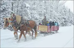  ?? MICHAEL NESBITT/JOURNAL PIONEER ?? A two-horse open sleigh was a popular attraction during the Sunday afternoon activities of the Tyne Valley Winter Carnival. Driver Ray Bulger guided horses Emma and Bill along the tree-lined route, replete with a fresh layer of fluffy snow to add an...