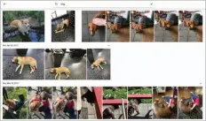  ??  ?? Google Photos is an easier way to share an entire library than icloud Photos.