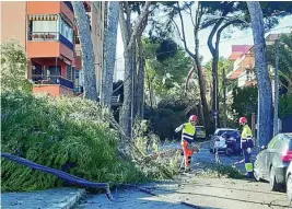  ?? EFE ?? El temporal provocó la caída de varios árboles en Barcelona