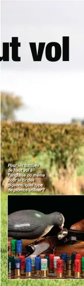  ?? Bernard Noël ?? Pour les battues de haut vol à l’anglaise ou même pour le tir des pigeons, quel type de plombs utiliser ? qu’après avoir vraiment beaucoup tiré, et autrement que sur une cible! Qu’en pensez-vous ?