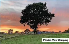  ?? ?? Pilsdon View Camping