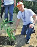  ??  ?? Lopez conglomera­te patriarch Oscar M. Lopez (left) and current Chairman of First Philippine Holdings Corporatio­n Federico ‘Piki’ R. Lopez leading the tree planting activities of the Lopez Group Foundation Inc.