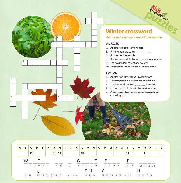 Winter crossword - PressReader