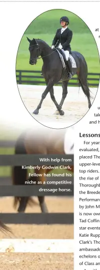  ??  ?? With help from Kimberly Godwin Clark, Fellow has found his niche as a competitiv­e dressage horse.