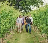  ?? GUSBOURNE ?? Guests take a tour of the Gusbourne vineyard in 2019 in Kent, England. Kent, known as a fruit-growing area, has now become one of the country’s most successful wine-growing regions.