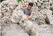  ??  ?? Punjab has warned the Office of the Jute Commission­er that the situation may spin out of control if urgent steps are not taken to make the jute industry GST ready