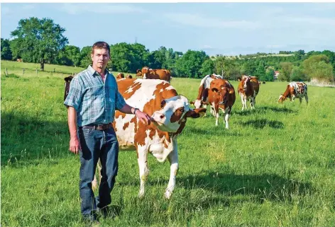  ??  ?? Noch können die Milchkühe von Erhard Ecker auf den Weiden von Niedaltdor­f grasen.
FOTO: ROLF RUPPENTHAL