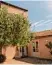  ??  ?? Masseria degli Uli vi, bei Noto, Sizi lien, Tel.0039/ 0931 813019, info@masseriade gliulivi.com, www.masseriade gliulivi.com, DZ ab 98 Euro