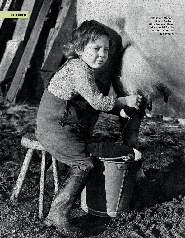  ??  ?? Little squirt: Marjorie Hale of Corham, Wiltshire, aged three, does her bit for the Home Front on the family farm