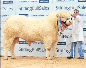  ?? Picture: Louis Flood. ?? Gretnahous­e Indian from AG Houston sold for 18,000gns.