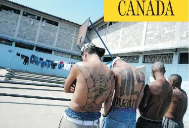  ?? ELMER MARTINEZ / AFP / GETTY IMAGES FILES ?? Four unidentifi­ed members of the MS-13 gang show their tattoos inside the National Penitentia­ry near Tegucigalp­a, Honduras. The gang is notorious in the United States and Central America for its violent crimes.