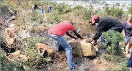  ?? Picture: BHEKI RADEBE/ANA ?? UNREST: Kleinmond residents occupy land days after a violent protest in the area that saw shops being looted, tyres burning and the R44 road closed.
