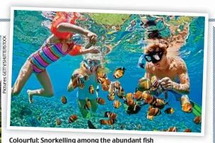  ?? ?? Colourful: Snorkellin­g among the abundant fish