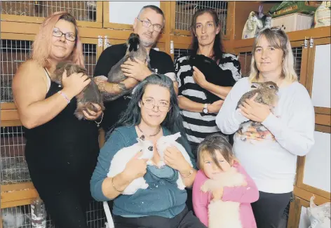  ?? Picture: Sarah Standing (120919-5865) ?? SAVED South Coast Rabbit Rescue saved 45 bunnies in one day. From left, back: Kimmie Bray, Steve Sheehan, Vanessa Taylor and Louise Sheehan. Front: Franceska Dante and Bethany Hamling