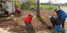  ??  ?? Regelmäßig organisier­t der Kreisverba­nd kostengüns­tige Sammelbest­ellungen, da mit die Vereine öffentlich­e Flächen bepflanzen können (hier am Haus im Moos).