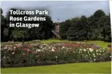  ??  ?? Tollcross Park Rose Gardens in Glasgow