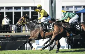  ??  ?? WHAT’S MY NAME? Jockey Lyle Hewitson celebrates as he rides trainer Sean Tarry’s Tilbury Fort to victory in the G-Bets Gauteng Summer Cup on Saturday.