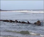  ?? Pic: Micheál O’Domhnaill. ?? The Butter Boat wreck was initially thought to have been linked to the Armada.