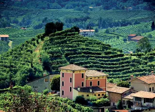  ??  ?? Residenti più tutelati Dal 2019 i Colli del Prosecco subiranno trattament­i meno impattanti