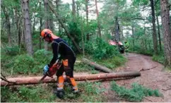  ?? FOTO: KJETIL REITE ?? Den norske staten er involvert i Norske Skog, skriver innsendere­n – men på gribbenes side.