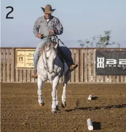  ??  ?? LEFT: In the 35- to 50-foot space between the two poles, which can be adjusted according to the horse’s skill level, I push my horse to the right in a two-track to set up the change to the left lead. I’m careful to keep my body straight so my horse doesn’t dive into