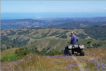  ?? PHOTOS BY ELYSE DEFRANCO — SPECIAL TO THE HERALD ?? Luke Gardner overlooks his cattle ranch in the rolling hills above Carmel Valley.