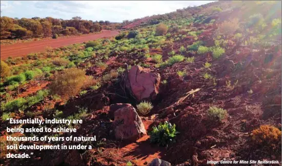  ?? Image: Centre for Mine Site Restoratio­n. ?? A one-year old mine site restoratio­n in WA.