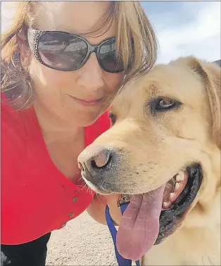  ?? SUBMITTED PHOTO ?? On Aug. 21, three of Jennifer Ackerman’s Golden Labrador retrievers knocked down the fence at her Gambo home and gave chase to a black bear. She searched for the dogs, but was unable to locate them, after being gone for two nights she was beginning to...