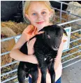  ?? ?? Raising the baa for kids: animal feeding is among the options at Bluestones vineyard