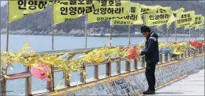  ?? PICTURE: AP ?? A man reads yellow ribbons bearing messages for the victims of the sunken ferry Sewol at the port in Jindo, South Korea, yesterday. Of the 304 people killed when the ferry sank near Jindo on April 16 last year, 295 bodies have been recovered.