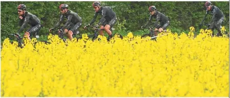  ??  ?? Yellow wonder: Ineos team riders (from left) Owain Doull, Chris Lawless, Ian Stannard, Eddie Dunbar and Chris Froome riding beside a field of rapeseed during the first stage of the Tour de Yorkshire near Beverley in northern England on Thursday. — AFP