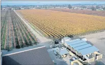  ?? JANE TYSKA STAFF PHOTOGRAPH­ER ?? A wastewater treatment area is seen from this drone view at Concannon Vineyard in Livermore on Thursday.