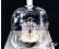  ??  ?? The internatio­nal prototype of a kilogram will no longer be used to measure the unit of weight