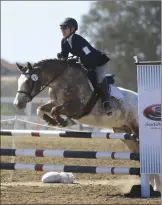  ??  ?? This Yanci mare, Evolette, competes in combined training.