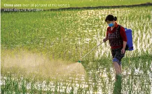  ?? ?? China uses over 30 percent of the world’s pesticides and fertilizer­s