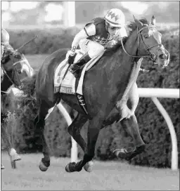  ?? KEENELAND/COADY PHOTOGRAPH­Y ?? Miss Temple City won the 2016 Shadwell Turf Mile (above) and is a 3-1 morning-line favorite to repeat in the Grade 1 race.