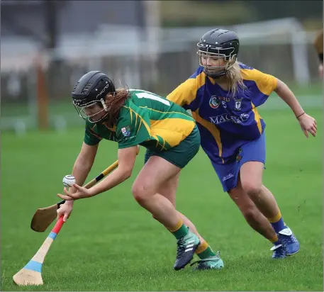  ??  ?? Knockanann­a’s Ciara Byrne battles with Ratoath’s Louise Gaffney in Tinahely. Photo: Joe Byrne