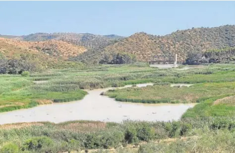  ?? // R. D. ?? Estado del embalse del Cordobinil­la en las inmediacio­nes de Puente Genil