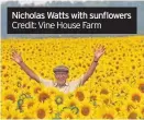  ??  ?? Nicholas Watts with sunflowers Credit: Vine House Farm