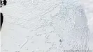  ??  ?? Imagen satelital del Galaciar Thwaites en Antártica