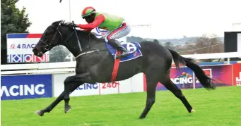  ?? Picture: JC Photograph­ics ?? CLASS ACT. Sandringha­m Summit has all the right credential­s to win the Grade 2 TAB Gauteng Guineas over 1600m at Turffontei­n tomorrow.